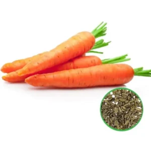 গাজরের বীজ