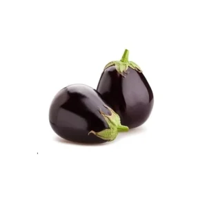 তাল বেগুনের বীজ