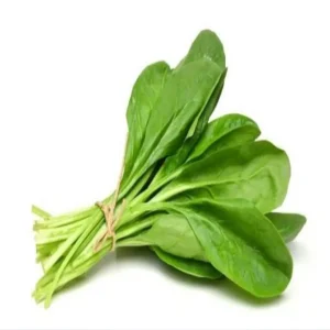 পালন শাকের বীজ