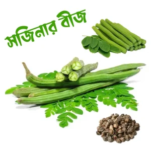 বারোমাসি সজিনা বীজ (Copy)