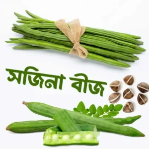 বারোমাসি সজিনার বীজ