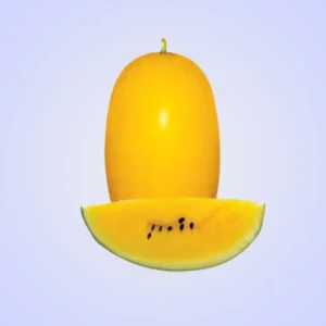 হলুদ তরমুজ এর বীজ