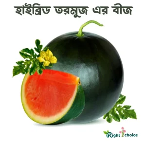 হাইব্রিড কালো তরমুজের বীজ