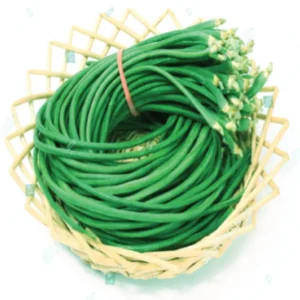 হাইব্রিড বরবটির বীজ